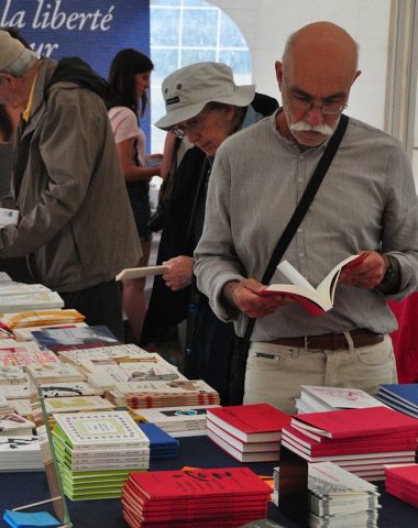 Lectures sous l’arbre
