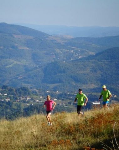 Le Trail des châtaigniers