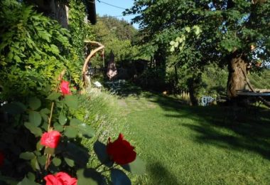 Merveilleux weekend : découvrez les « Trésors de la nature »