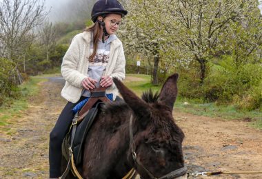 Une journée pour s’éclater en famille !