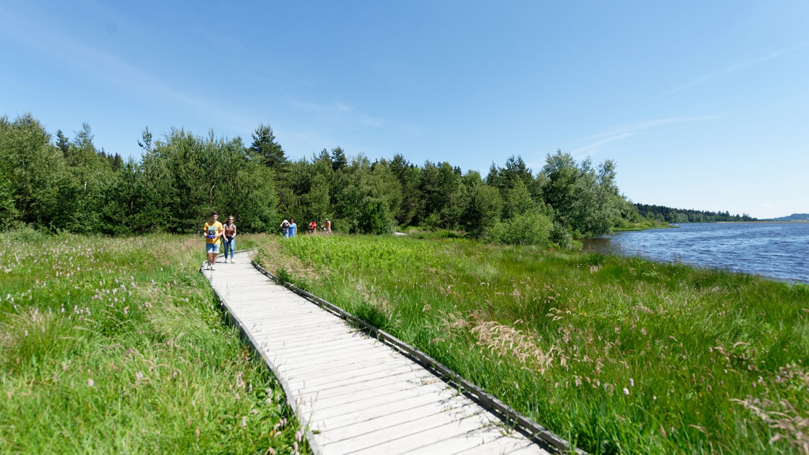 Le Chemin de St-Régis