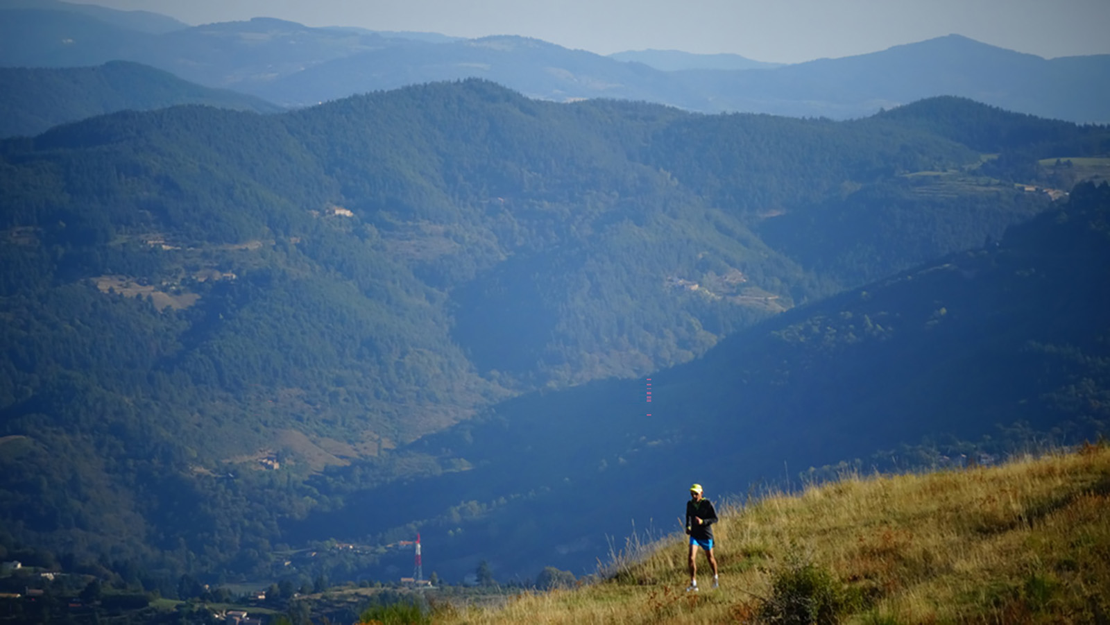 Le Trail des châtaigniers