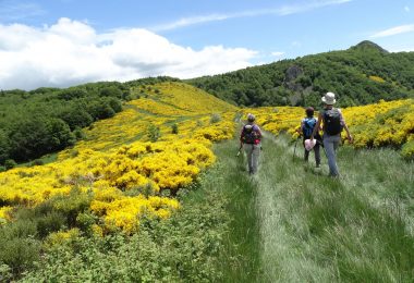Le Printemps de la Randonnée : un événement à ne pas manquer !