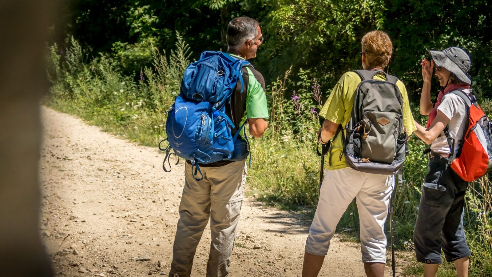 500 itinéraires gratuits pour découvrir le Parc Naturel !