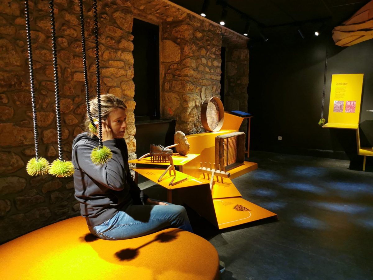 Maison du Châtaignier