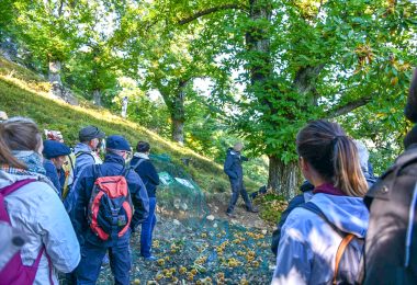 Les balades gourmandes de l’automne