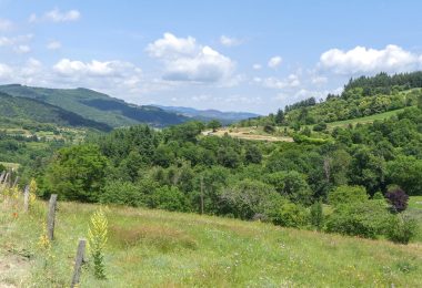3 jours pour se ressourcer : nature, randonnées et terroir