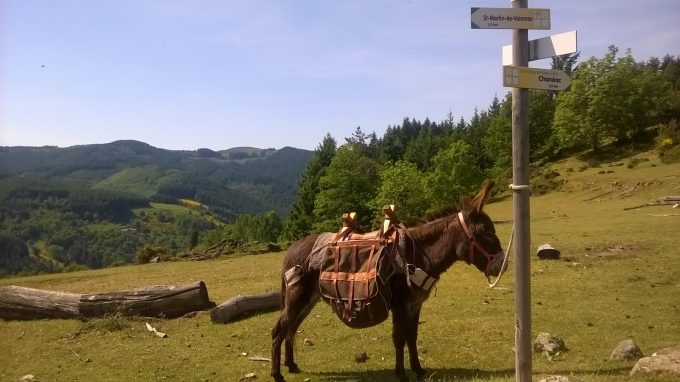 Pépita à la Romane