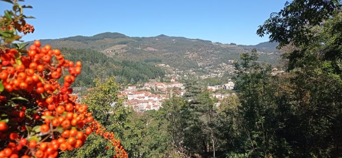 Vue 2 Le Cheylard