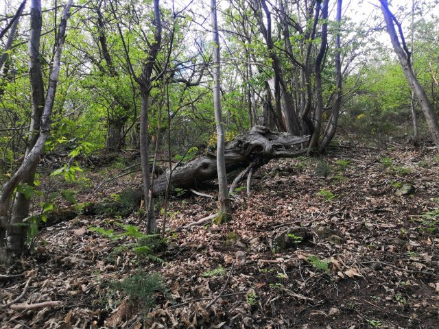 Gîte Le Temps Suspendu