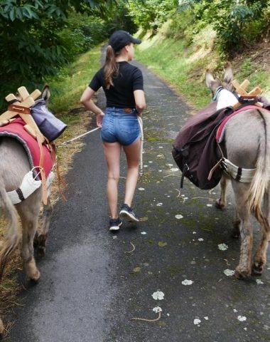 Balade en groupe avec les ânes bâtés des Marraignes – L’Automnal gourmand
