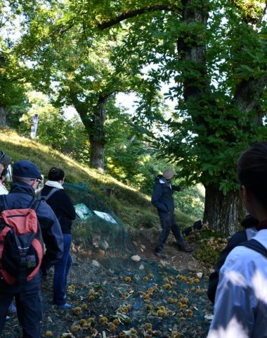 Randonnée gourmande : Castagnades des Monts d’Ardèche – L’Automnal gourmand