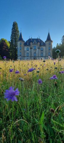 MTV façade fleurs