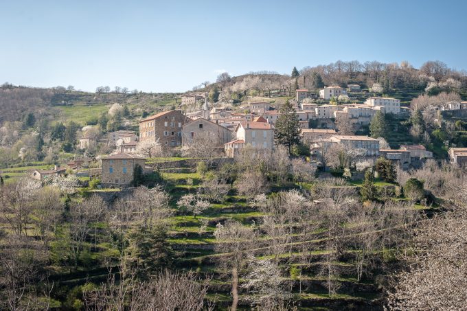 16396851-diaporama