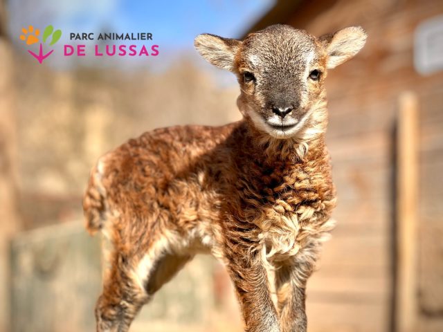 Parc animalier de Lussas