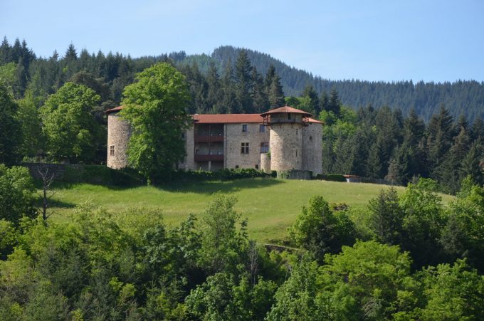 Chateau de la Chèze boisé