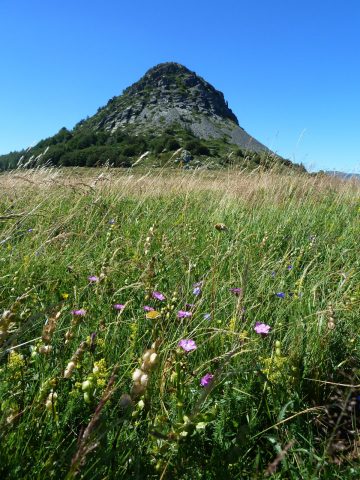 Mont Gerbier de Jonc