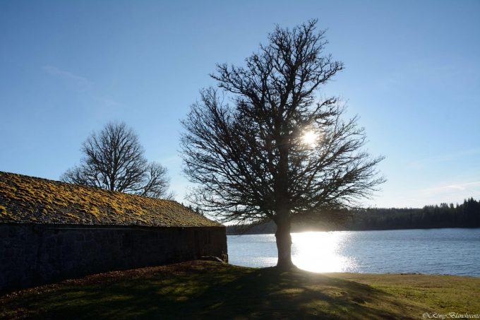 Lac de Devesset