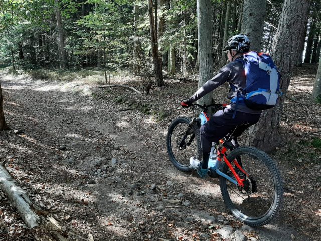 GTA VTT Rochepaule