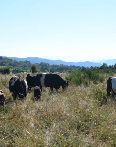 Ferme du Grand Freydier