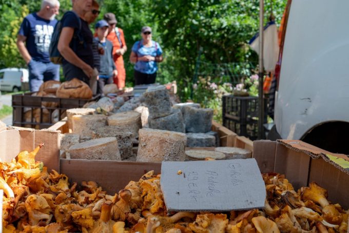 Péreyres – Fête de la myrtille – fromages et champignons ©sourcesetvolcans