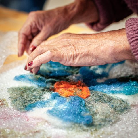 Ardelaine Stage laine adulte