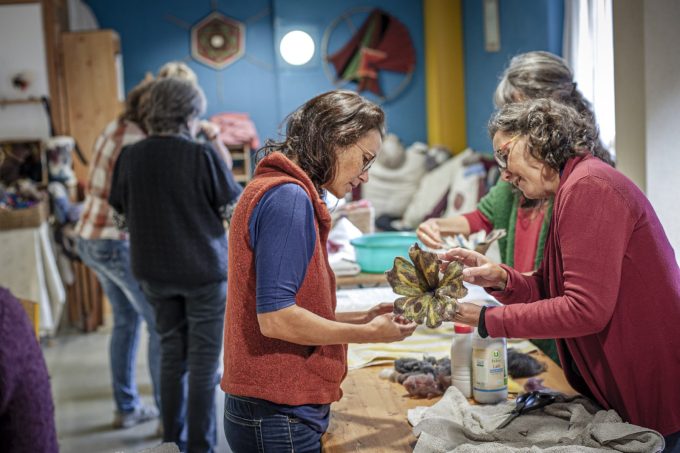 Ardelaine stage laine