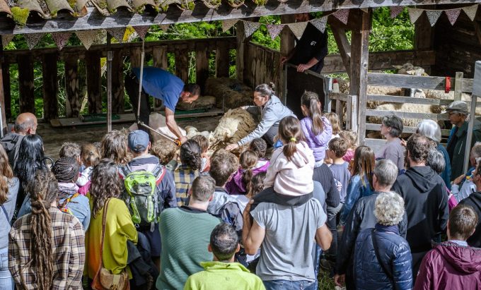 Ardelaine évènements culturels