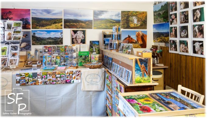Point de vente & exposition