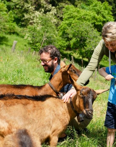 Chèvrerie de Bouchet-Ravaux