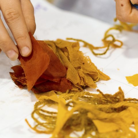 Atelier « teinture végétale »_Saint-Pierreville