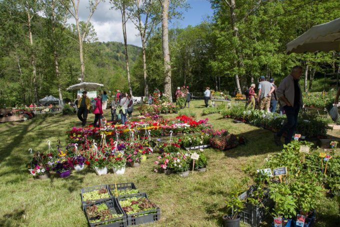 Rochepaule en fête_Rochepaule