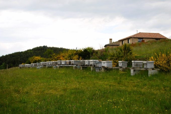 30349301-diaporama