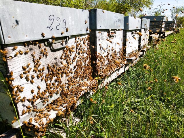 30349316-diaporama