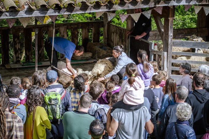 Fête de la Tonte