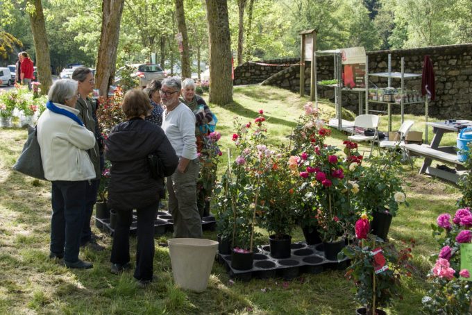 MARCHÉ AU PLANTES