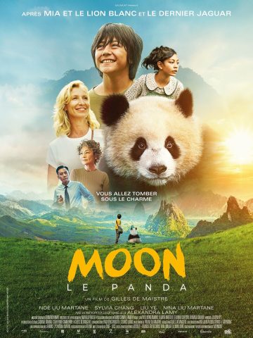 Projection : Moon Le Panda