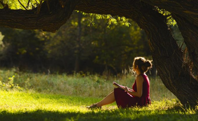 Lectures sous l’arbre