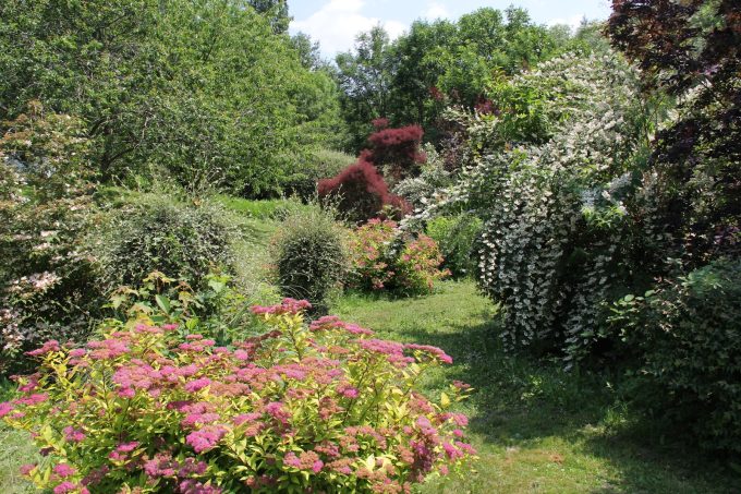 Jardin