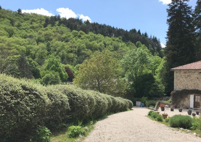 Allée
