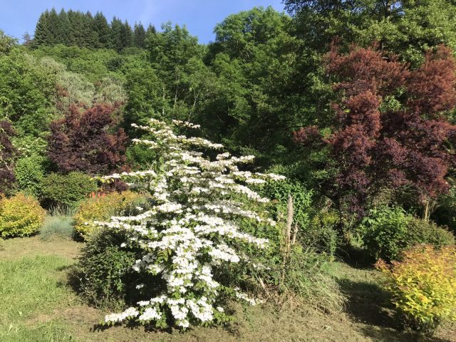 Jardin