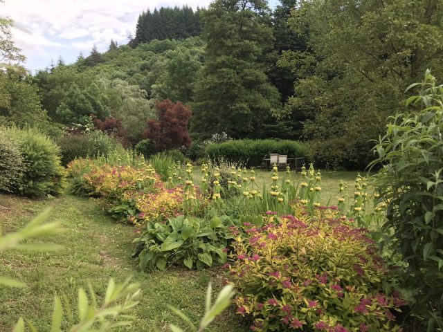 Jardin
