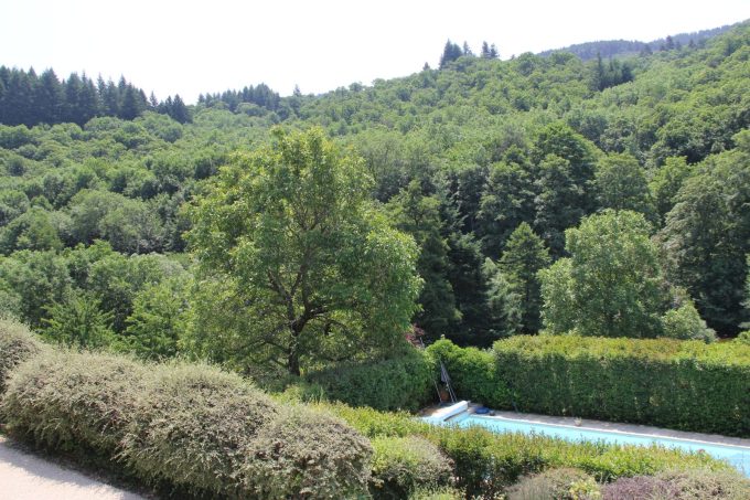 Vue sur la piscine