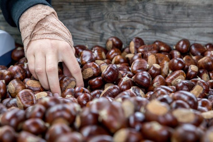 CASTANAÏS – Cosméto – châtaigne