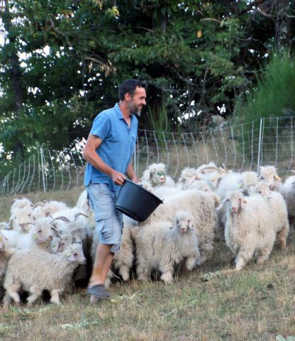 Mohair d&rsquo;Ardèche