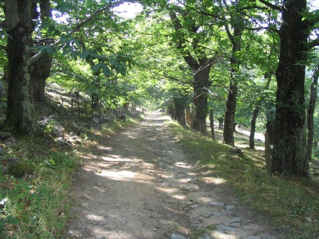 32681575-diaporama