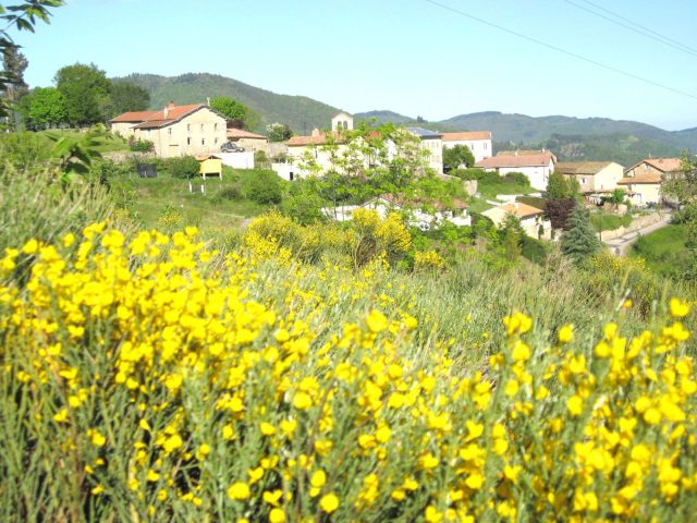 32681731-diaporama