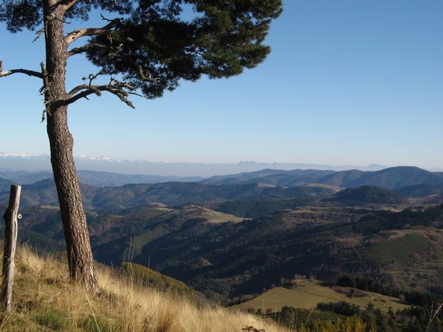 32682536-diaporama