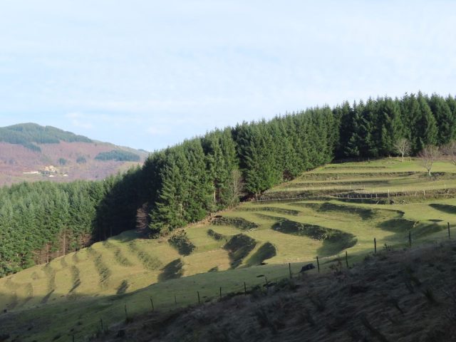 32682964-diaporama
