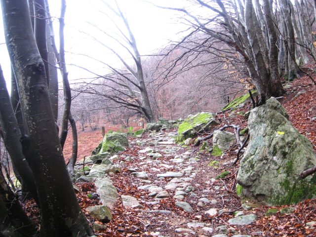 32707670-diaporama